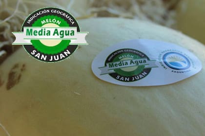 Las características del melón de media agua sanjuanino responden a los factores naturales del departamento de Sarmiento.