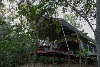 Las carpas tipo glamping El Bermejito, justo en el ingreso al parque, son el único alojamiento en el paraje La Armonía