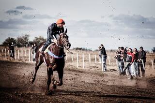 El imbatible y fiel Pangaré Buey, una leyenda de las cuadreras