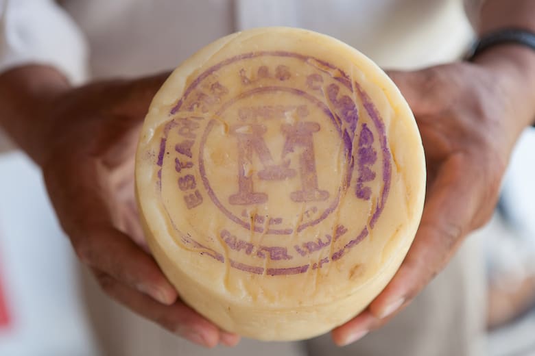 El queso de Tafí del Valle logra la primera Indicación Geográfica para un lácteo argentino