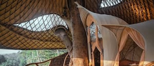 Las 10 casas en los árboles más espectaculares del mundo