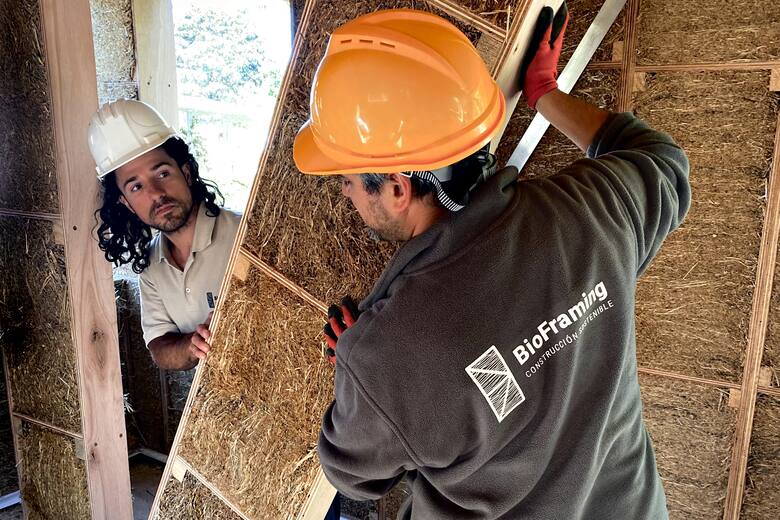 La paja de trigo se vuelve ecológica