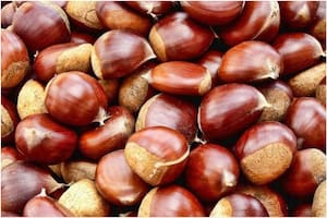 Las castañas son un superalimento recomendado por nutricionistas