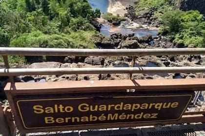 "Son ciclos que se dan cada 10 o 15 años", explicó Sergio Acosta, intendente del Parque Nacional Iguazú
