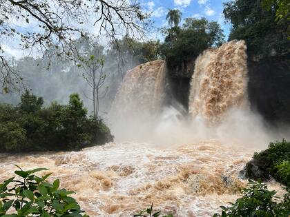 Las Cataratas del Iguazú, en la frontera entre Argentina y Brasil, presentan un exuberante panorama debido a un aumento extraordinario del caudal de sus aguas, diez veces mayor al promedio habitual. EFE / Parques Nacionales de Argentina.