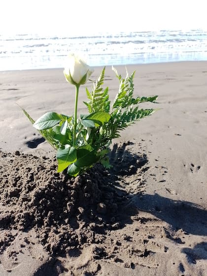 Las cenizas de Patricia y las cartas que le escribió a Roberto están en el mar, frente a Playa Grande, donde se dieron el primer beso.