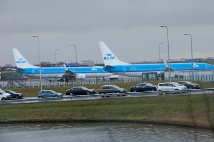 Las chinches fueron detectadas en un avión de la aerolínea KLM
