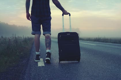 Las chinches suelen viajar en las valijas, la ropa y muebles usados
