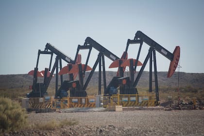 Las cigüeñas petroleras, parte del paisaje del corredor neuquino de Vaca Muerta. Crédito: Ruido.