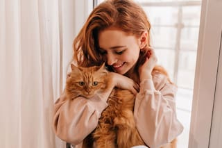Cuáles son las cinco señales de que un gato eligió a su persona favorita
