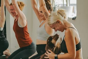 Entrenar con animales, una tendencia que está de moda