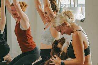 Entrenar con animales, una tendencia que está de moda