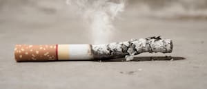 Hongos versus colillas