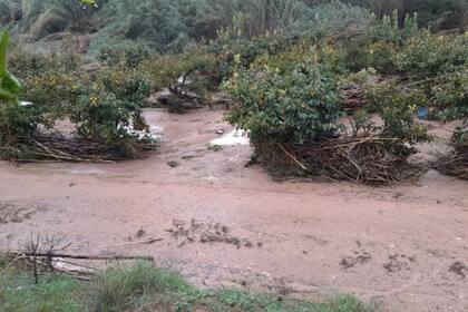 Las comarcas más castigadas son La Ribera Alta y Baixa, L’Horta, la Hoya de Buñol, Utiel-Requena, Camp de Túria y Los Serranos