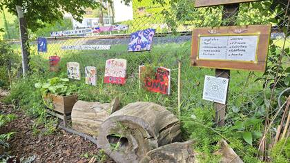 Las composteras y las semillas reflejan el esfuerzo comunitario detrás del Jardín Pisarro, un espacio recuperado para la naturaleza y la vida en comunidad