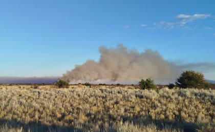 Las condiciones climáticas extremas complican cualquier intento de control. “Con 39 grados es muy complicado”, resumió el dirigente de Carbap