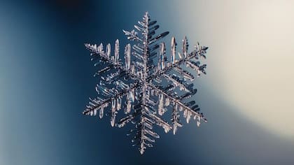 Las condiciones en las nubes deben ser las adecuadas para que se formen copos