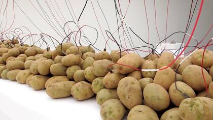 Las conocidas papas en descomposición del argentino Grippo