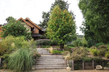 Las contenciones y los escalones de madera son de roble pellín, madera autóctona del lugar que resiste muy bien la intemperie sin mantenimiento. La idea fue dejarla natural, para que se torne gris y se mimetice con el ambiente.