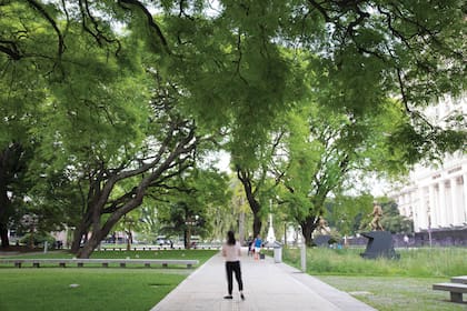Las copas de los árboles de la plaza Juan Domingo Perón conforman una sombrilla verde que protege a los transeúntes los días de calor porteño.