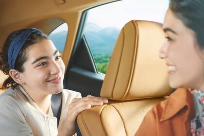 Las correas del cinturón de seguridad deben ser reemplazadas (Lexus)