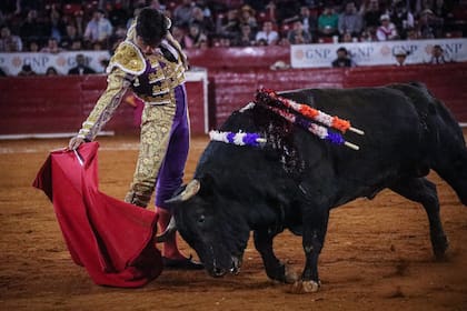 Las corridas de toro tienen una tradición de más de 500 años