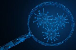 Coronavirus: cómo sería el mundo si desaparecieran los virus