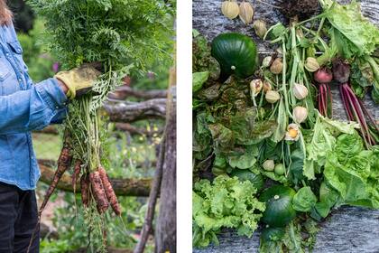 Las cosechas, por otra parte, conectan a las personas con los ciclos, ritmos y energía del cambio