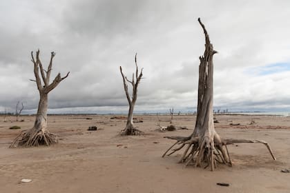 Las costas de la laguna de Mar Chiquita se ven como nunca antes.
