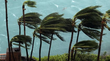 Las costas del sur de EE.UU. se preparan para la llegada del huracán Matthew