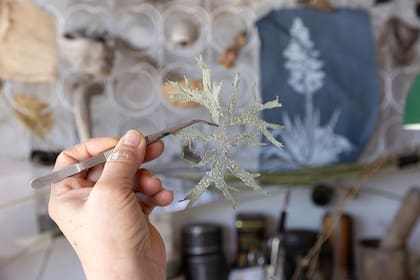Las creaciones de Jessica siempre parten de la naturaleza, su principal inspiración desde chica.