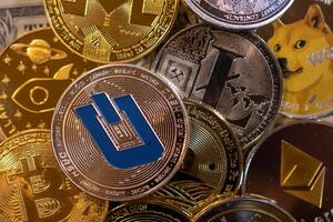 Las criptomonedas están a la baja y quienes invierten en este tipo de divisas se expresaron en las redes