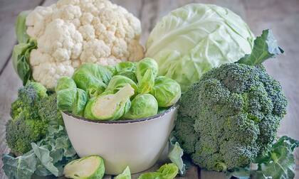 Las crucíferas como berro, col china, col rizada y rúcula, y los del grupo de hoja verde (acelga, remolacha, espinaca, achicoria, lechuga de hoja) tuvieron las mejores valoraciones nutricionales