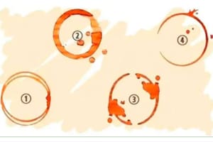 Las cuatro manchas de café que determinarán rasgos de tu personalidad