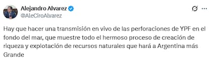 Las declaraciones en X del funcionario del Ministerio de Capital Humano sobre el streaming del Conicet (X: @AleCiroAlvarez)