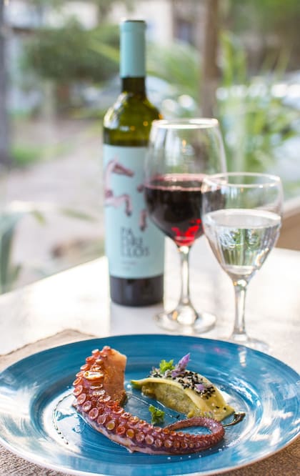 Las delicias de Casa de Mar