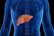 Hígado graso: cuánto pan se puede consumir al día sin afectar la salud