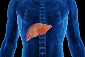 Cuánto pan se puede consumir al día sin afectar la salud