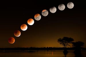 Se viene un eclipse lunar: ¿cuándo será su punto máximo?