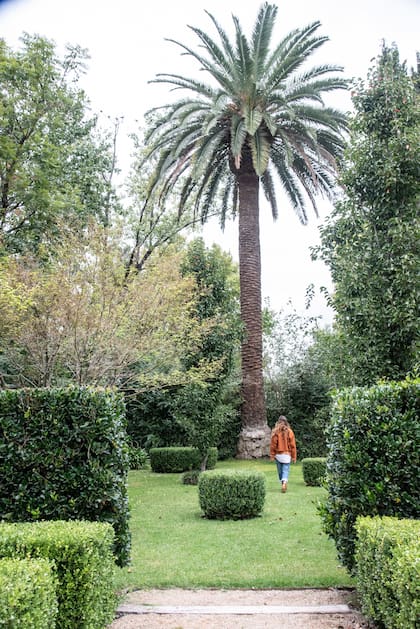 Las diferentes formas de crecimiento -árboles, palmeras, arbustos– permiten con sus volúmenes y siluetas organizar el espacio y generar recorridos