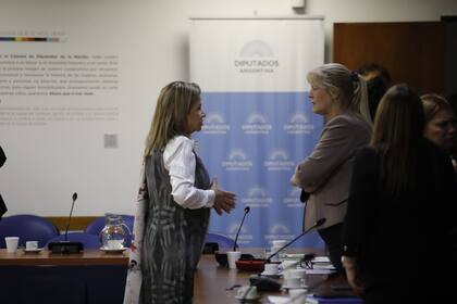 Las diputadas Graciela Camaño y Margarita Stolbizer, durante la reunión de comisión