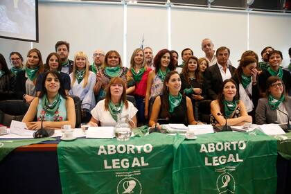Las diputadas y diputados firmantes del proyecto de legalización del aborto que tiene mayor apoyo, consensuado con la Campaña Nacional por el Aborto Legal y Gratuito
