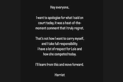 Las disculpas de Dart tras su desafortunado comentario