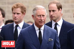 Frialdad, celos y dinero: la difícil relación del Rey con los príncipes William y Harry