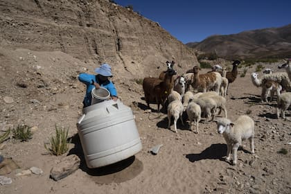 Las disputas giran en especial en torno a un bien aún más vital que la generación de divisas o que la transición energética: el agua