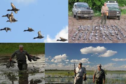 Las distintas actividades de caza que ofrece el campo 