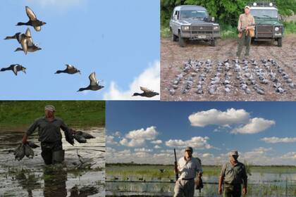 Las distintas actividades de caza que ofrece el campo