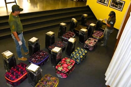 Las doce valijas contenían 389 kilos de cocaína que la organización narcocriminal pretendía enviar a Rusia