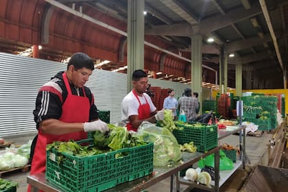 Las donaciones se clasifican según el tipo de comida y las necesidades del comedor