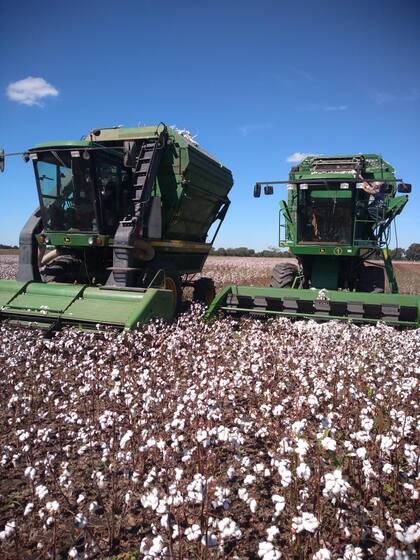 Las dos cosechadoras de la familia Konsimal